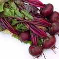 Beet root